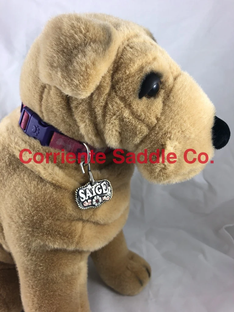 CSDOG 101 - Image 3