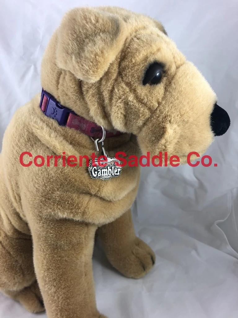 CSDOG 100 - Image 3