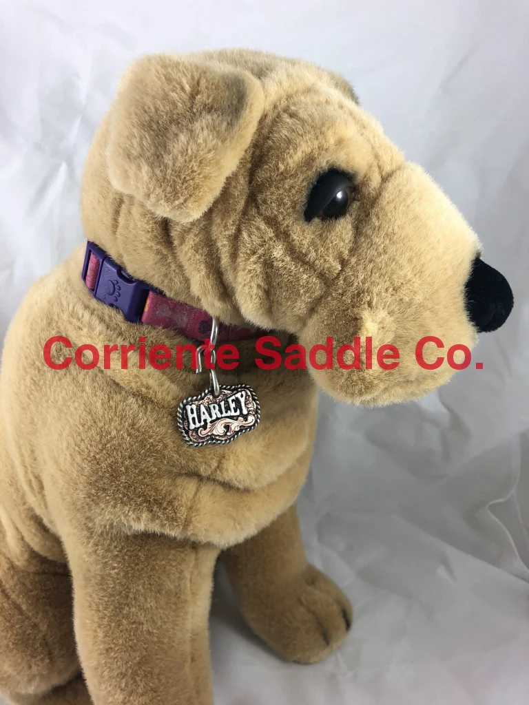 CSDOG 105 - Image 3