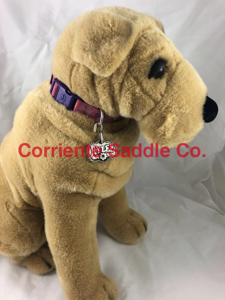 CSDOG 120 - Image 3