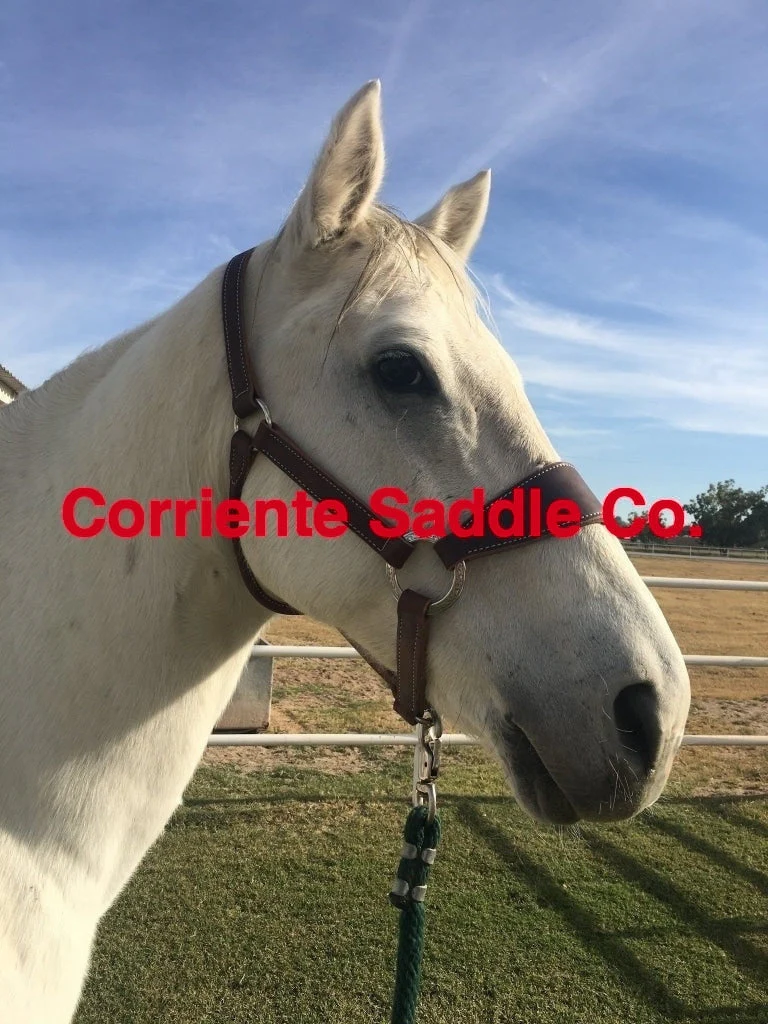 CSHALTER 100 Bronc Halter Plain - Image 2