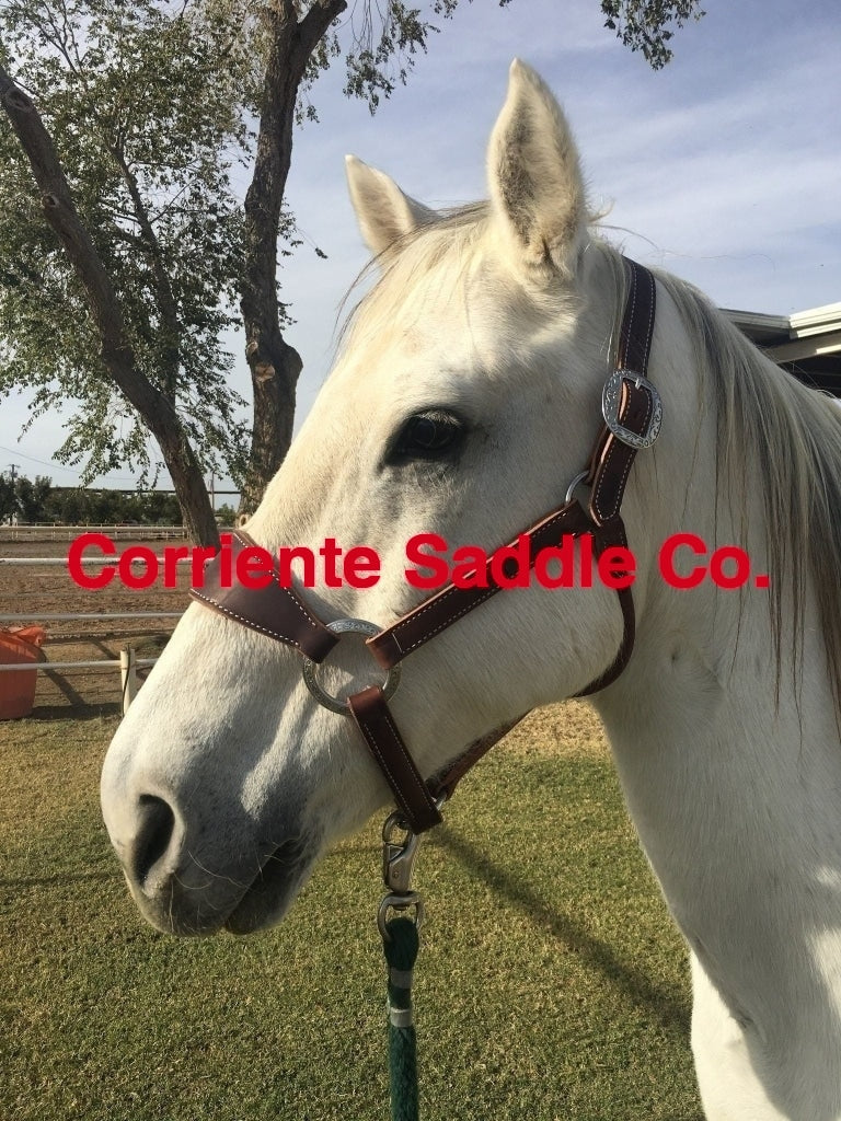 CSHALTER 100 Bronc Halter Plain - Image 3