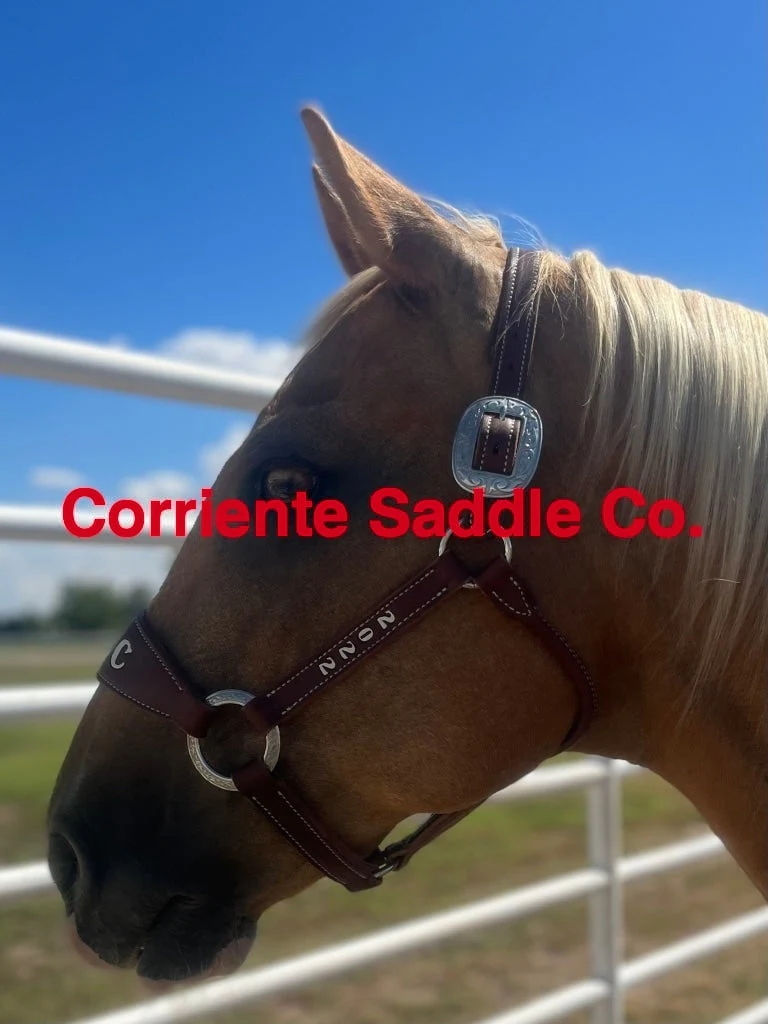 CSHALTER 100A Bronc Halter Lettered - Image 3