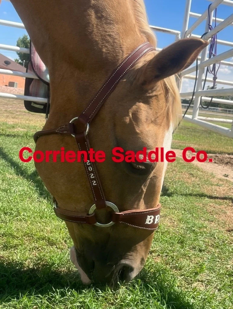CSHALTER 100A Bronc Halter Lettered - Image 4