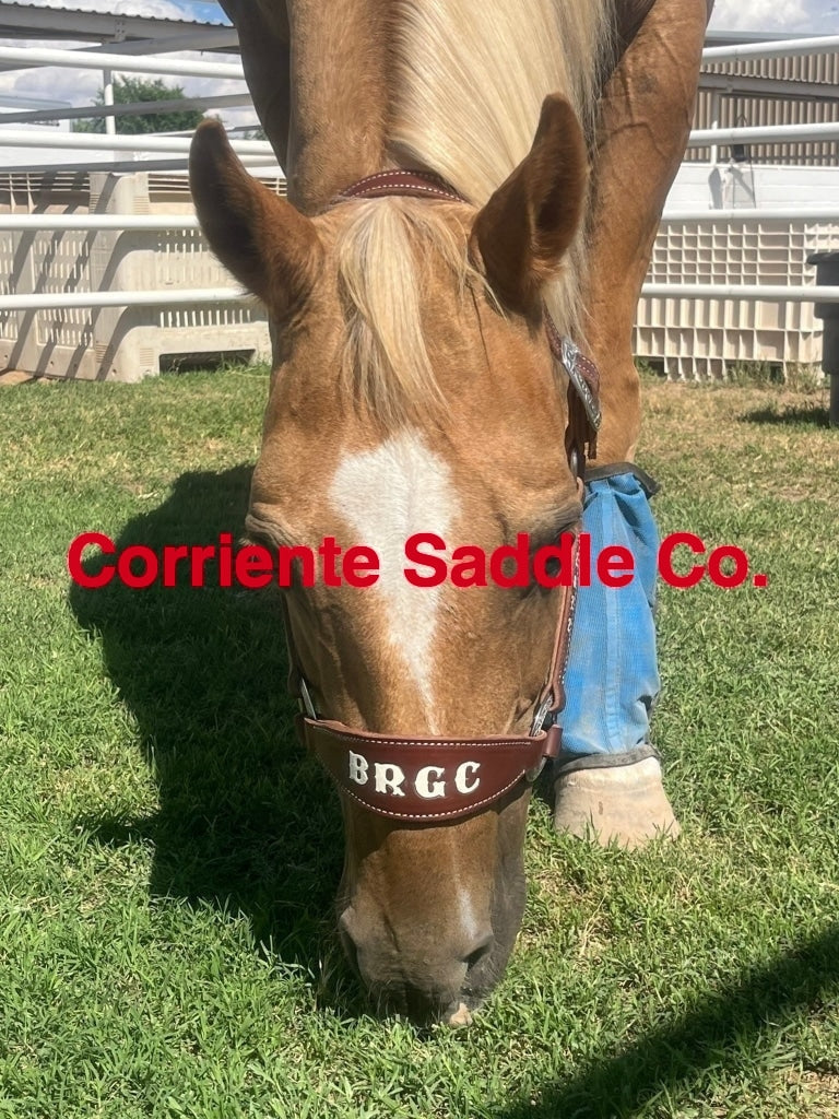 CSHALTER 100A Bronc Halter Lettered - Image 5